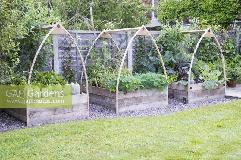Raised wooden beds with arched frame for protective netting