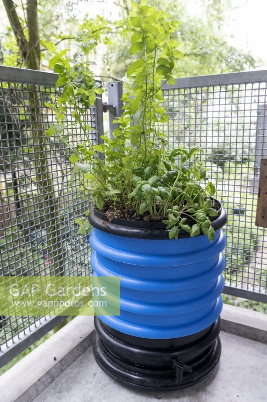 Balkonton - Balcony Barrel - composting system. A planted pot grows above a blue wormery with kitchen waste, underneath is a reservoir to collect liquid.