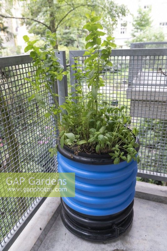  Balkonton - Balcony Barrel - composting system. A planted pot grows above a blue wormery with kitchen waste, underneath is a reservoir to collect liquid.