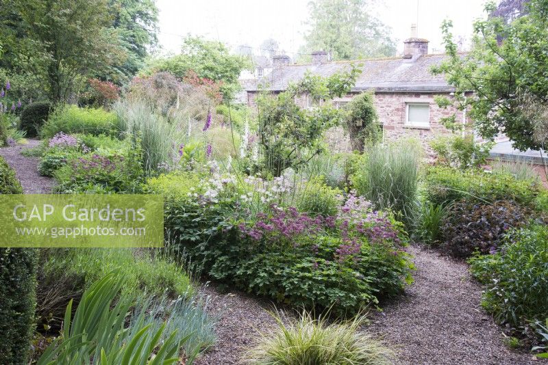 Island bed surrounded by gravel path with cottage beyond. Informal planting included Astrantia, Stipa gigantea, Carex, Digitalis and Lavandula