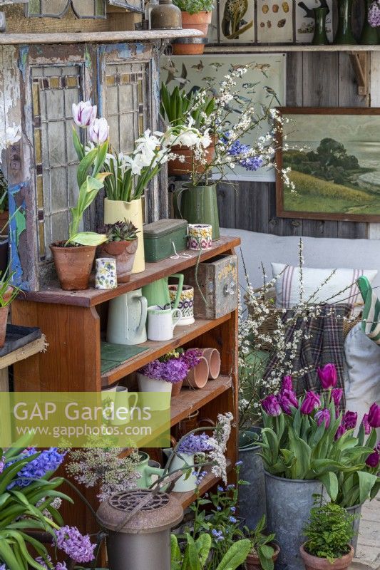 Caption Interior of conservatory filled with cut flowers, shelves of jugs and garden heater. 
