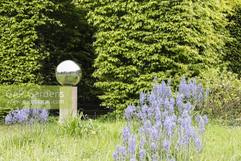 Wooden column topped with stainless steel globe reflecting the surroundings. Meadow planted with Camassaia leichtlinii aka Camassia leichtlinii subsp.suksdorfii. June. Summer