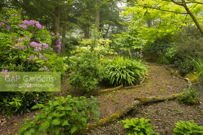 A path edged with logs through the Wilderness Garden.