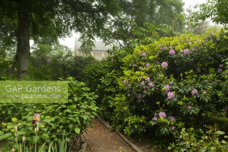 Rhododendron and other plants around a path edged with logs in the Wilderness Garden