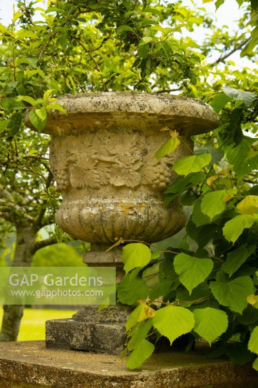 A large stone urned carved with a grape pattern on a plinth by foliage
