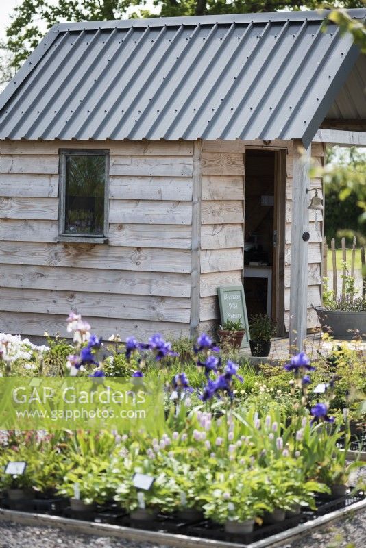 Small sales hut at Blooming Wild nursery in Somerset