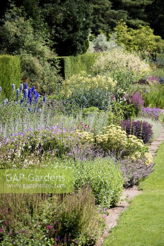 Herbaceous border at Newby Hall, North Yorkshire, in July including delphiniums, achilleas and echinaceas.
