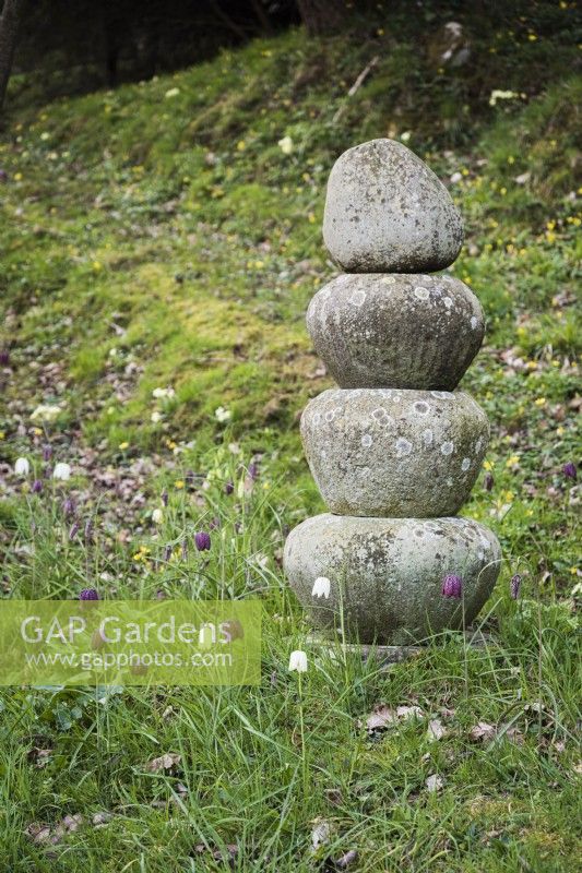 Stone feature surrounded by naturalised snake's head fritillaries at Lower House, Powys in March
