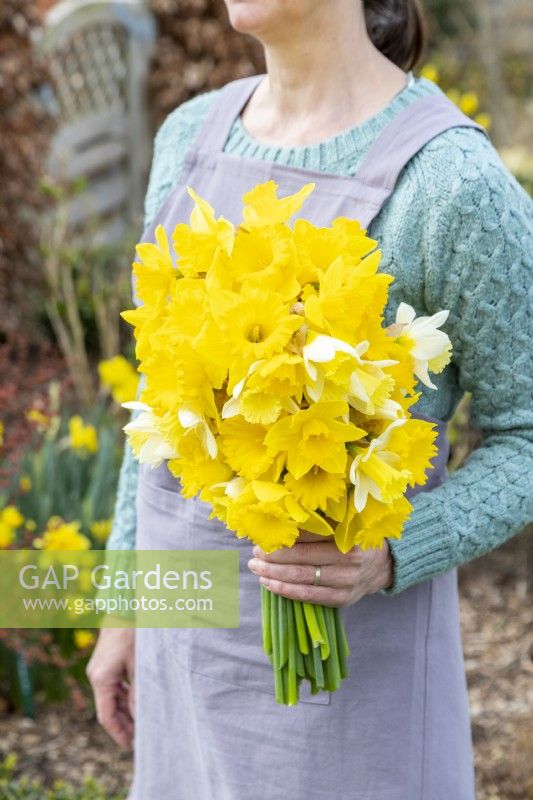 Person holding a bouquet of white and yellow mixed Narcissus