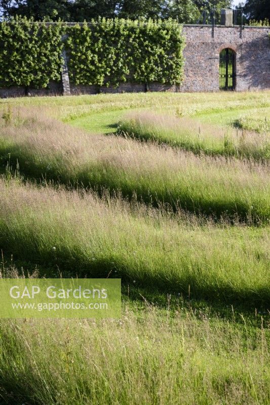 Grass maze at Gordon Castle Walled Garden, Scotland in July