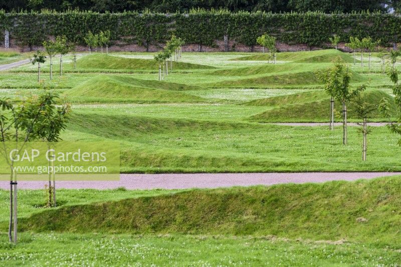 Undulating crescent shaped earth mounds at Gordon Castle Walled Garden, Scotland in July. Design by Arne Maynard.
