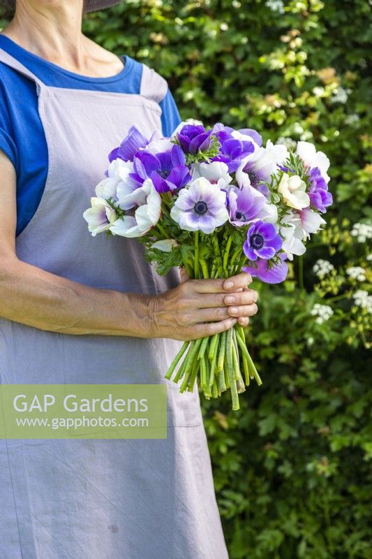 Woman holding bouquet with Anemone Blue and Pastel Mix