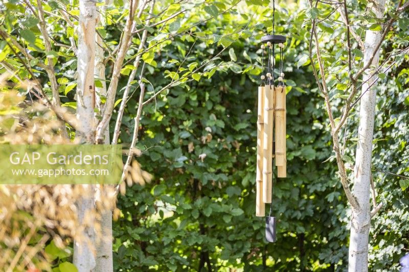 Bamboo wind chime hanging from a Birch tree