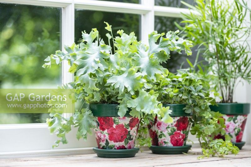 Fabric covered pots lined up on a window sill