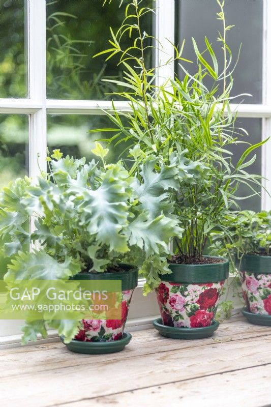 Fabric covered pots lined up on a window sill