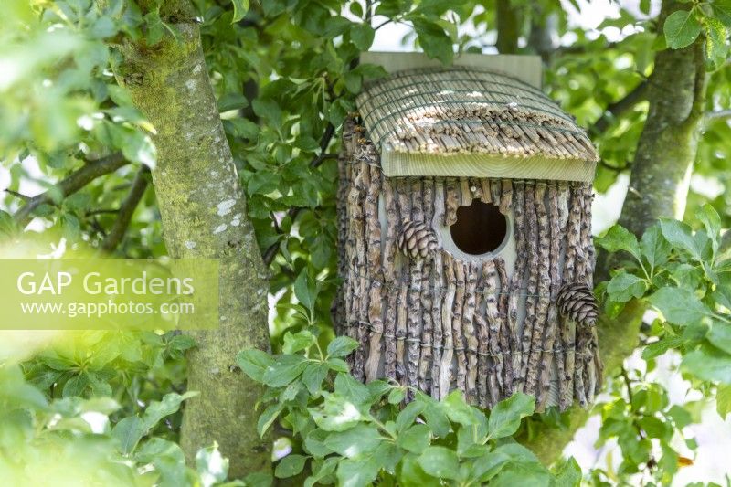 Bird box in a tree
