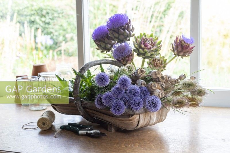 Echinops, Poppy seed pods, Teasel, Scabiosa in a trug with Cardoons