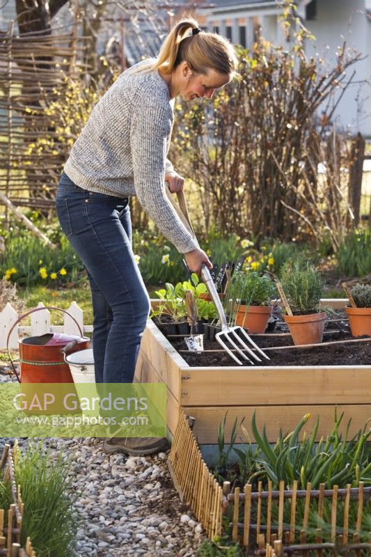 Woman preparing raised vegetable bed using garden fork.