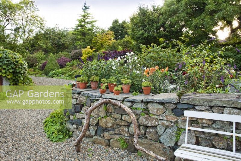 Dry stone wall with pots of succulents and driftwood, border and gravel path beyond.