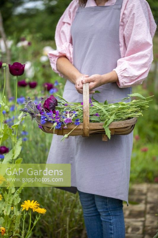 Holding a trug of a variety of cut flowers