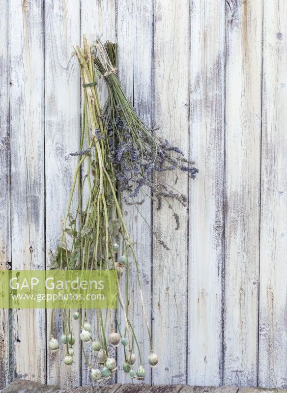 Hang lavender flowers  and poppy seed heads to dry.