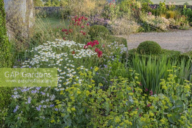View of summer flowering borders in a modern country garden - June