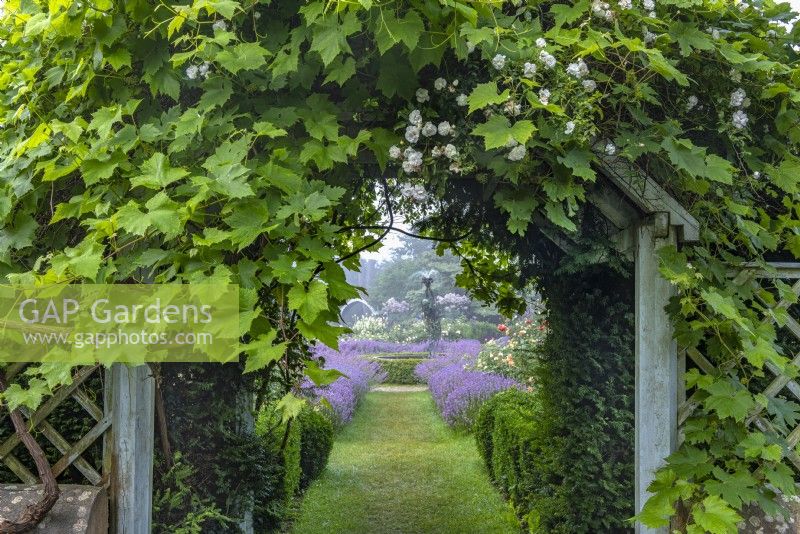 View through a vine covered wooden arch of the rose garden with a contemporary fountain in summer - July