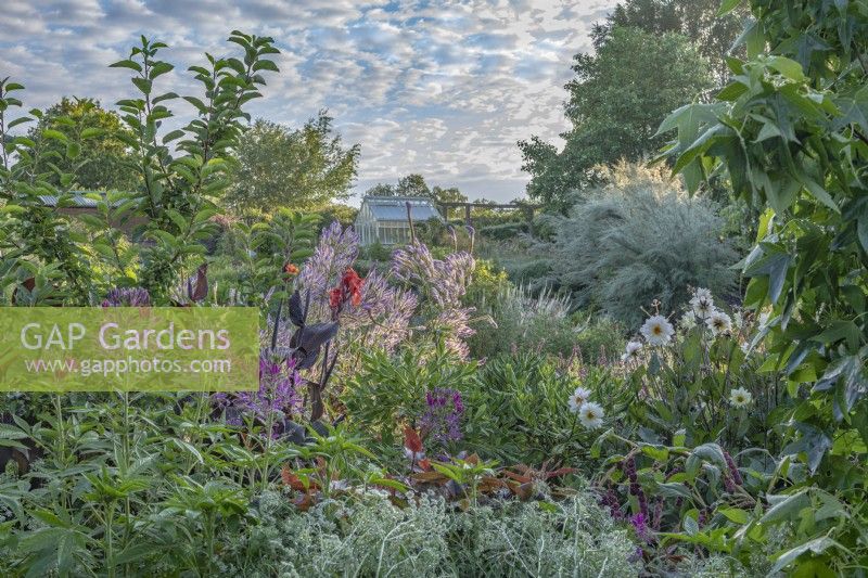 View of mixed perennials in a country garden border in August