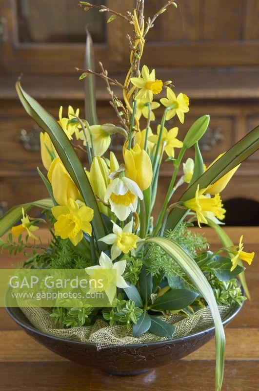 Floral arrangement of Narcissus and Tulipa