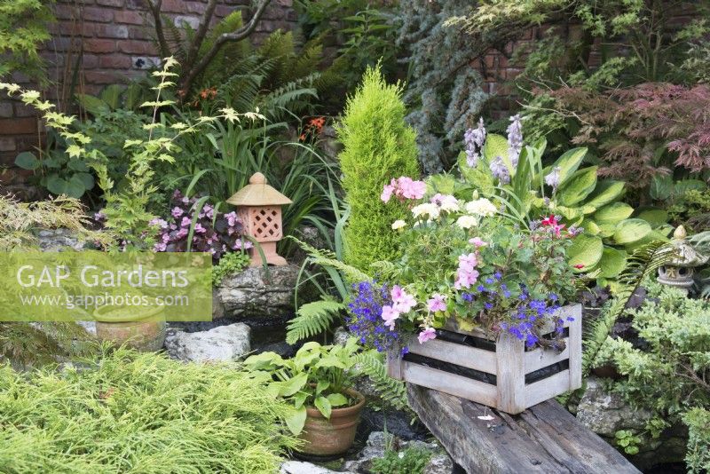 Old wooden crate planted with Impatiens and Lobelia and shaded garden beyond with Acer, Hosta and ferns 