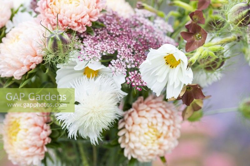 Detail of bouquet with Cosmos 'Fizzy White' , Amberboa 'The Bride, Daucus 'Dara', Nicotiana and Nigella