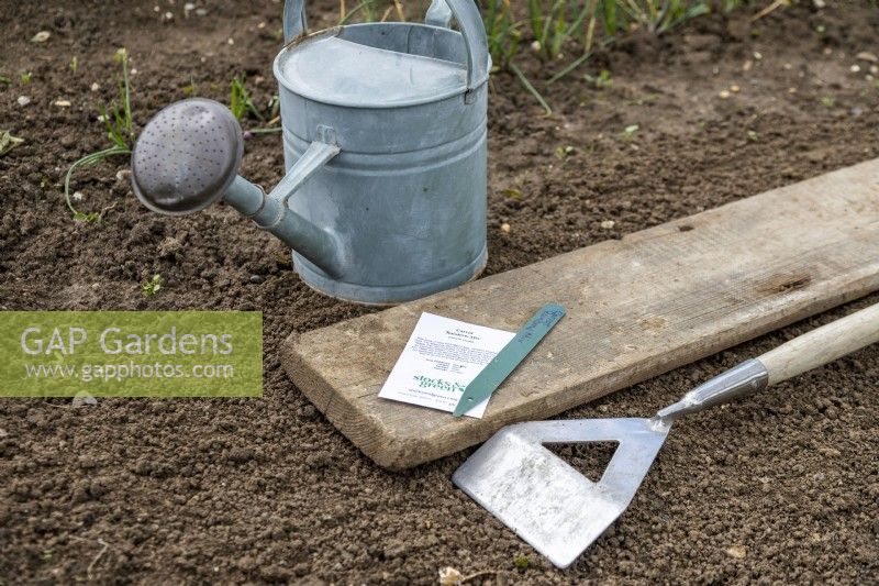 Watering can, plank of wood, hoe, plant label and a packet of Daucus carota 'Rainbow mix' Carrot seeds laid out on the ground