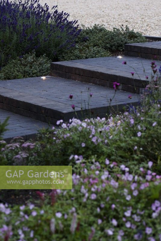 Steps and path of Lucca brick pavers made by Chelmer Valley, inset with lights on a July evening