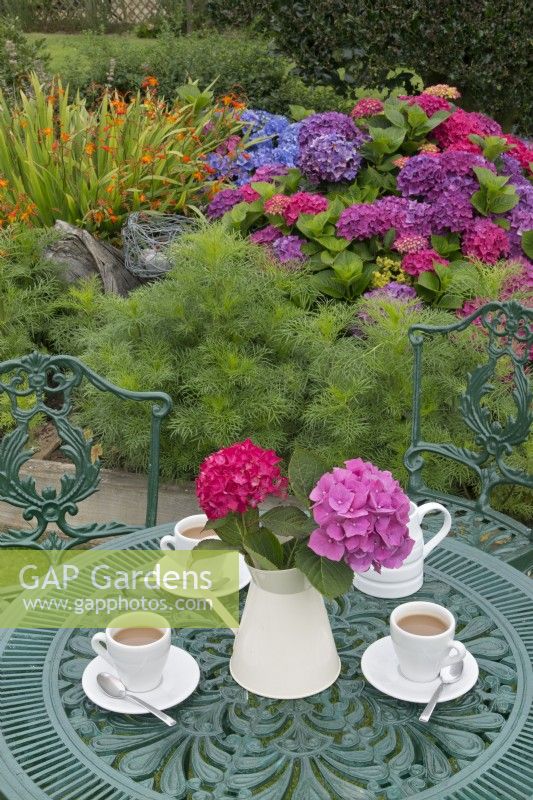 Hydrangeas and garden table with morning coffee. July Summer