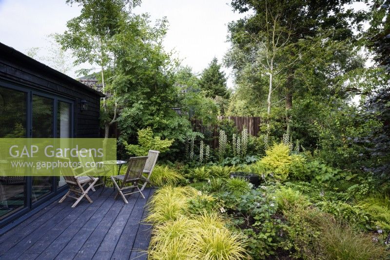 Woodland garden planted with golden Carex oshimensis 'Everillo' Evercolor Series, ferns and ground cover in July, with decking of Millboard Embered composite boards.
