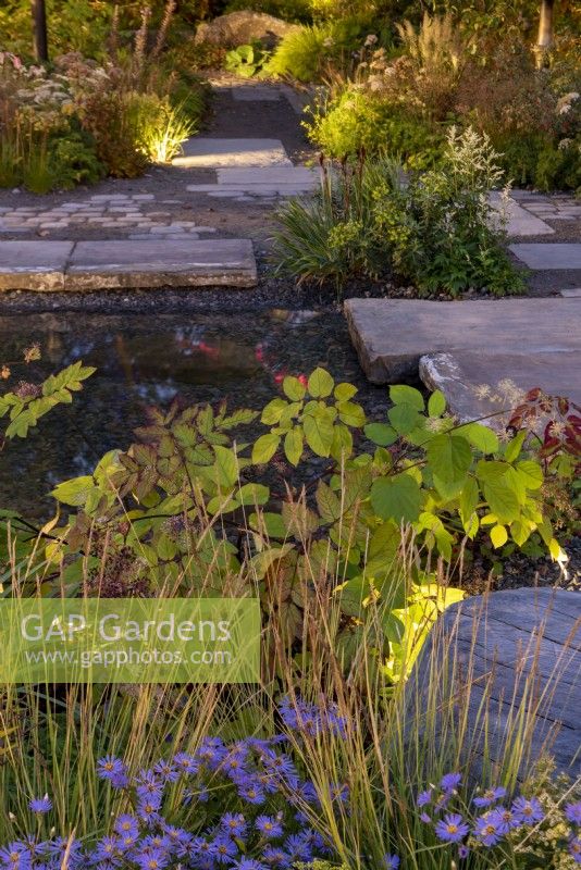 The M&G show garden light by low level lighting that highlights the foliage, paving and bring out the autumn glow. Plants include Aster sedifolius Nana and Aralia cordata. Designer: Harris Bugg Studio, Sponsors: M&G
