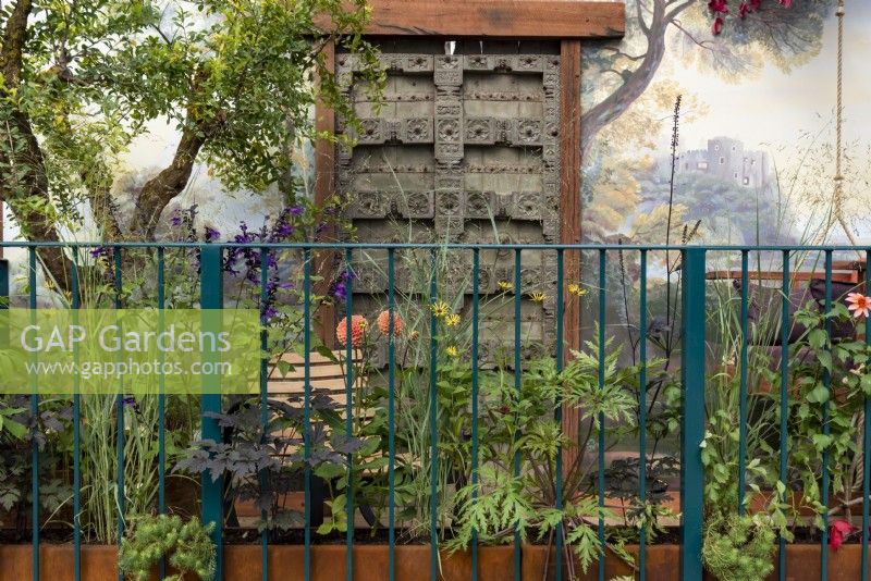 Arcadia, a small balcony garden with a trompe-l'oeil painting surround the old wooden door.  It is planted with a Punica Granatum tree, Rudbeckia subtomentosa 'Henry Eilers', Salvia Amistaad and Dahlia 'Barbary Sunset'.  Designer: Martha Krempel