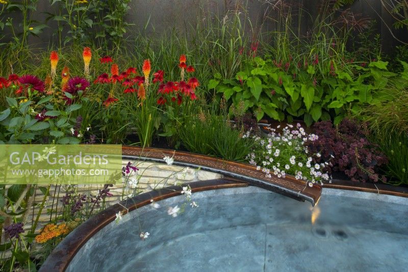 A rill flowing into a pool surrounded by autumnal plants,   Echinacea 'Eccentric', Persicaria amplexicaulia 'Fire Dance' Erigeron 'Lavender Lady, Dahlia 'Black Narcissus', Sedum 'Jose Aubergine', Kniphofia and Stipa giganta in the Finding Our Way Garden.