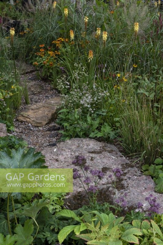 The Yeo Valley Organic Garden, a stone and gravel path through Astrantia  'Hadspen Blood' and  'Large White', Persicaria amplexicaulis 'Alba', Kniphofia 'Tawny King' and ornamental grasses. 