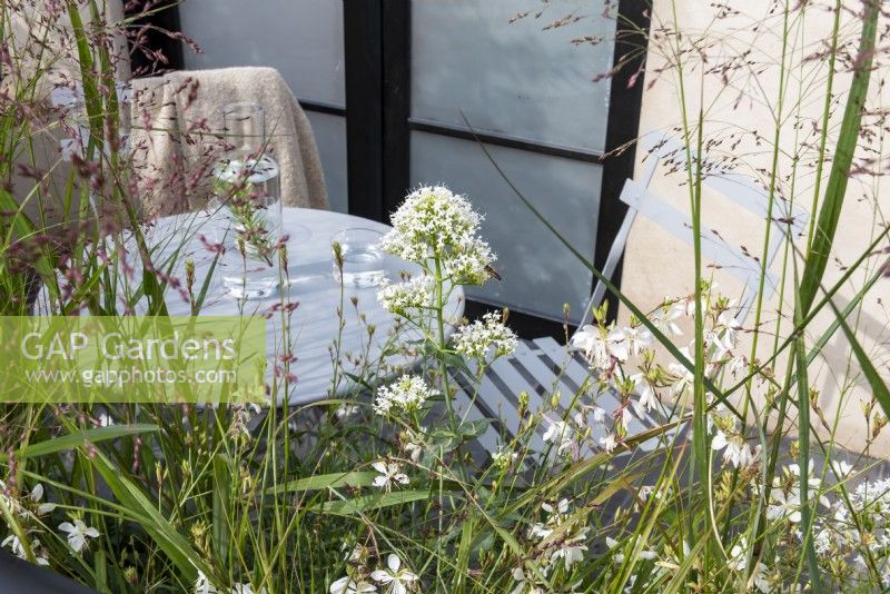 Balcony of Blooms with Centranthus ruber 'Albus', Oenothera lindheimeri and Panicum virgatum 'Rehbraun' growing by the garden table and chairs placed on the balcony. 