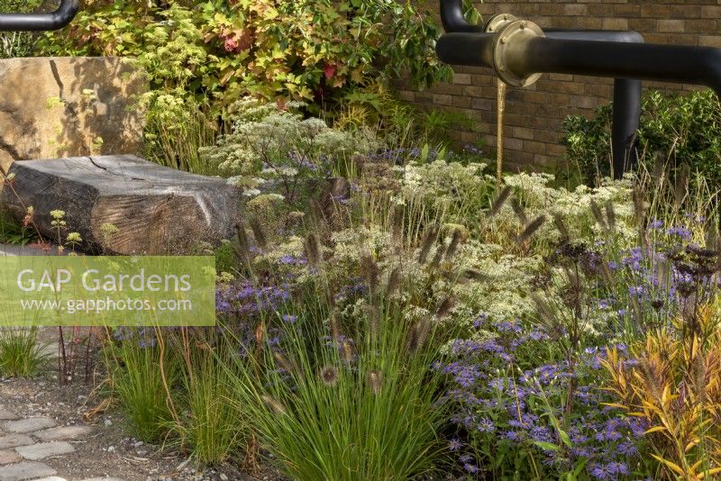 M&G Garden, transforms an urban wasteland, incorporating the old pipes that are softend and surrounded by flowers. Plants include: Anemone hupehensis September Charm', Pennisetum alopecuroides 'Cassian',  Acanthus hungaricus 'White Lipsâ€™ seedheads, Heuchera villosa Autumn Bride and Patrinia punctiflora. 