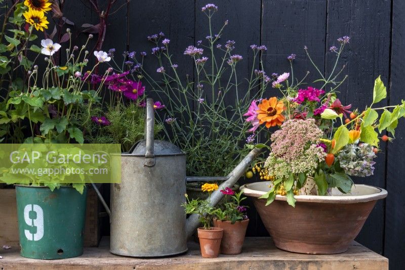 A collection of pot plants, cut flowers and a watering can placed on a wooden bench. 
