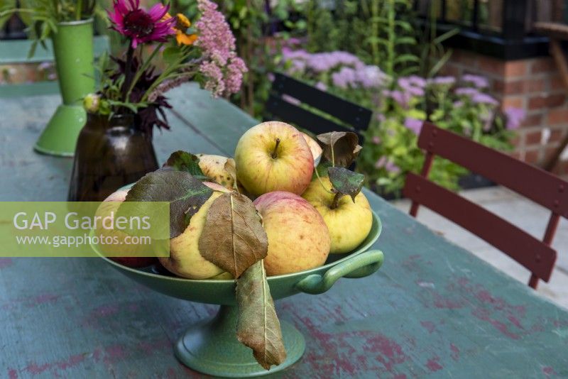 A bowl of apples on the garden table. 