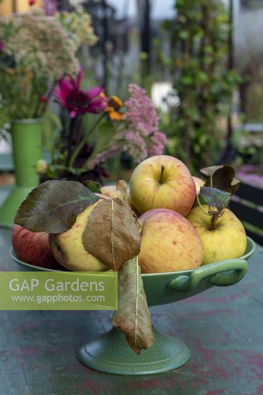 A bowl of apples on the garden table. - Alitex Ltd