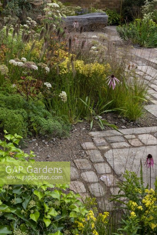 M and G garden is a patchwork of flowers, cobbles and paving. Plants include: Pennisetum alopecuroides 'Cassian', Echinacea pallida, Heuchera villosa Autumn Bride, Calamagrostis brachytricha and  Hedera helix. 

