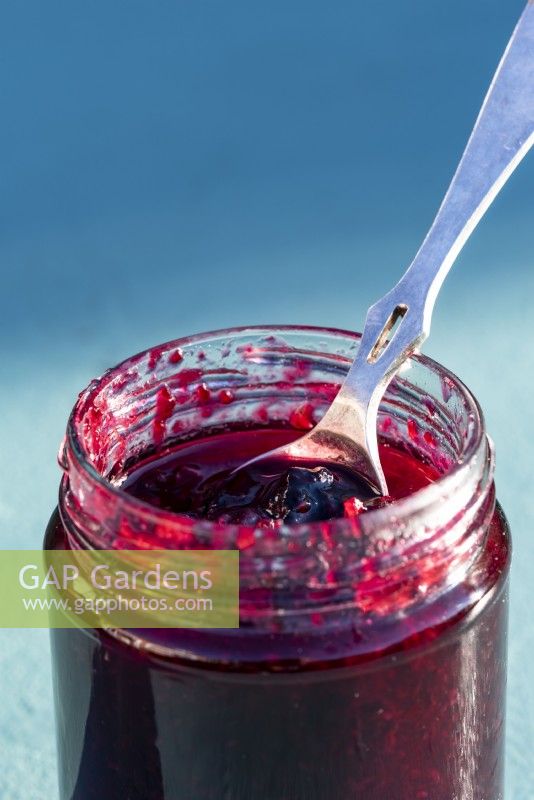 A spoonful of homemade blackcurrant jam.  It has a tart flavour. 