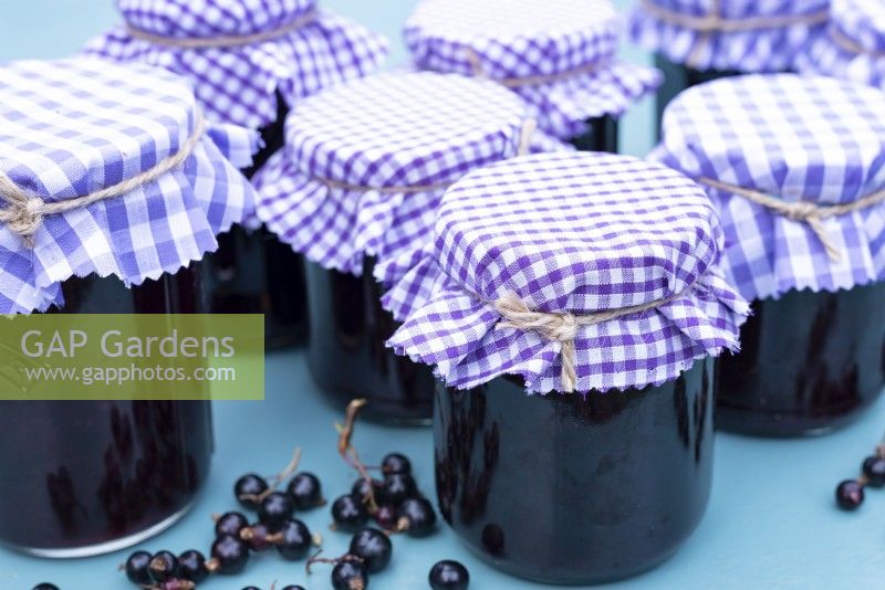 Jars of blackcurrant jam, a summer favourite that has a slightly sharp taste  and is packed with vitamin C.