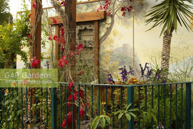 An old Indian door and wall painting provide backdrops for Arcadia, a colourful balcony garden of trees and plant filled containers, climbers and seating.  Plants incude: Punica granatum - Pomegranate, Salvia amistaad and Parthenocissus quinquefolia, red leafed climber.  