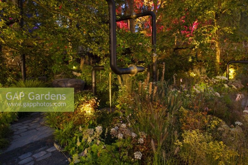 Colourful lighting accentuating autumnal planting in The M and G Garden.
