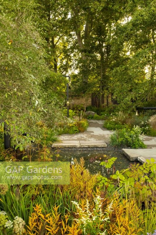 A shared urban space planted with trees and autumnal perennials around stone paving and a small pool. Perennials include: Amsonia illustris, Artemisia lactiflora and  Aruncus horatio.